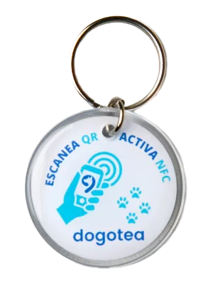 Pet Tag Dogotea