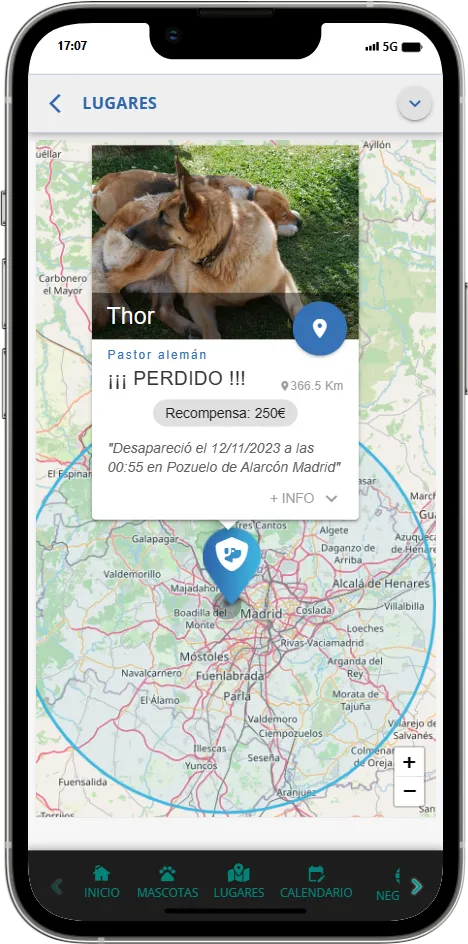 Mapa de perros perdidos DOGOTEA